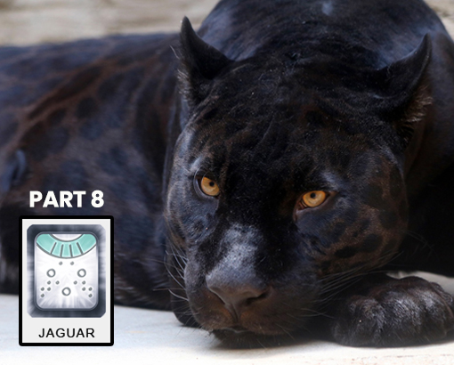 Mayan Jaguar Time - Part 8