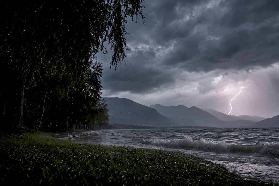 Lightning and rain in forest storm scene