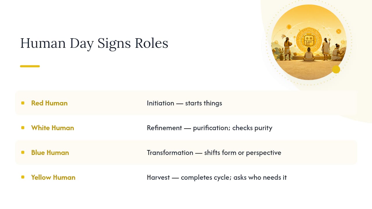 Diagram comparing four human day signs’ traits